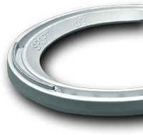 Victory Racing Plate: Sport XLT – Victory Racing Plate Company